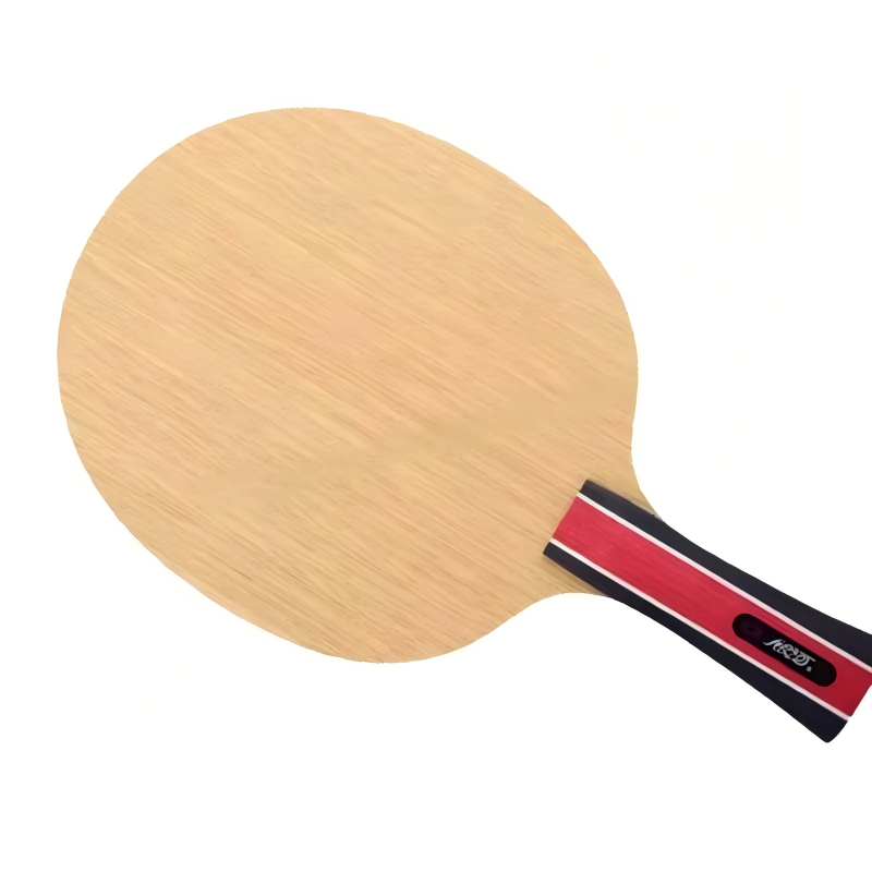 Stiga Carbon Blade - Original Galaxy Yinhe Earth E-3 E3