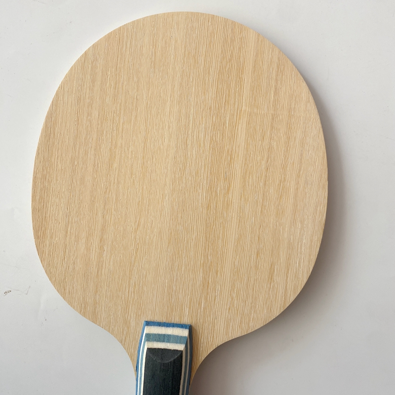 Lemuria VIS Carbon Fiber Table - đánh giá và giá Stiga Carbon Blade