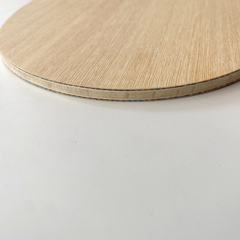 Lemuria VIS Carbon Fiber Table - đánh giá và giá Stiga Carbon Blade