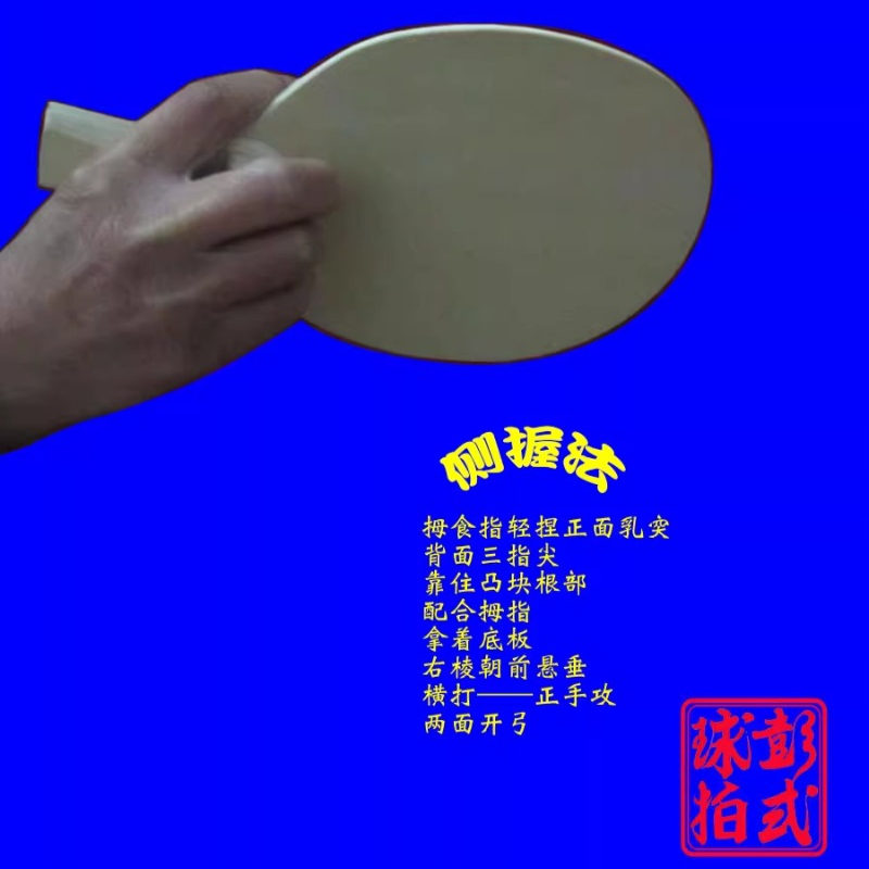 Chinese/Japanese Style Table T - đánh giá và giá Table Tennis Umpire