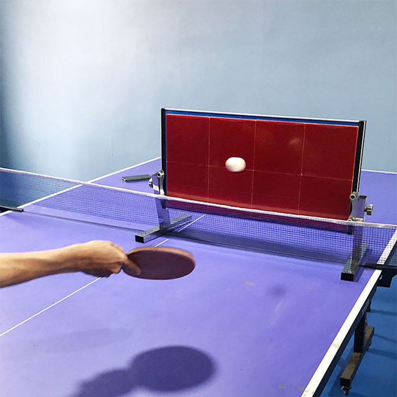Home Table Tennis Rebound Boar - đánh giá và giá Table Tennis Game Pc
