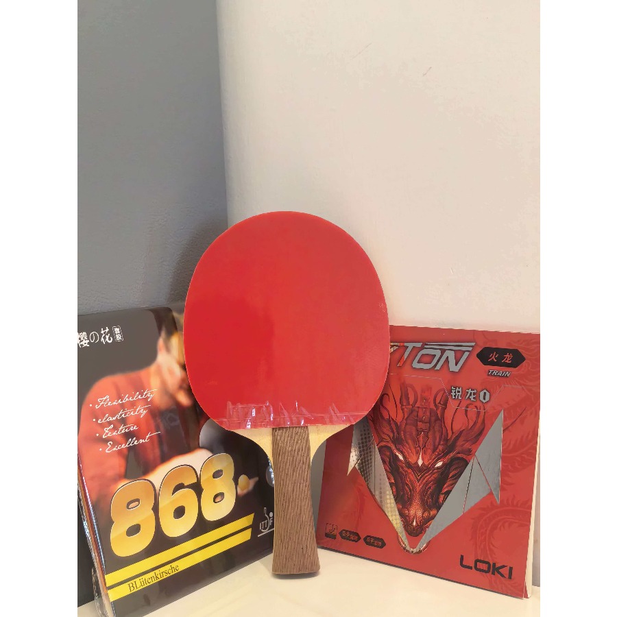 Genuine SANWEI 502E Ping Pong  - đánh giá và giá Table Tennis Kit