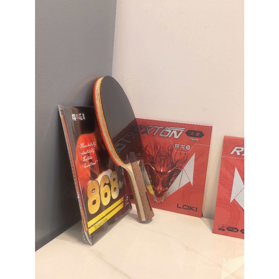 Genuine SANWEI 502E Ping Pong  - đánh giá và giá Table Tennis Kit